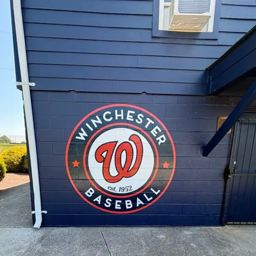 Vinyl Graphics